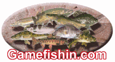 Gamefishin.com