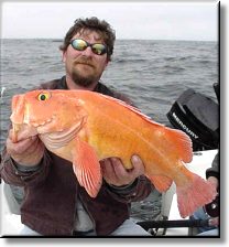 Red Snapper