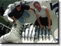 Salmon