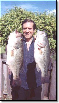 Bass