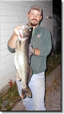 Walleye
