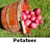 Potatoes