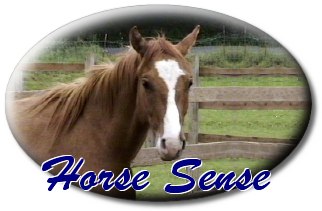 Horse Sense