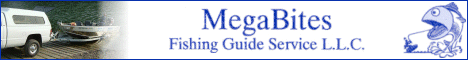 Click here to go to MegaBites Guide Service.