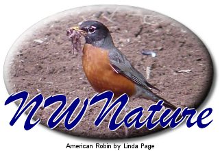 NWNature