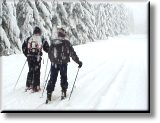 Skiing