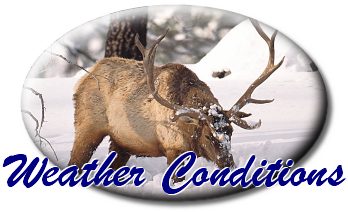 Weather Conditions